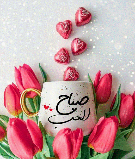 صباح الورد حبيبتي