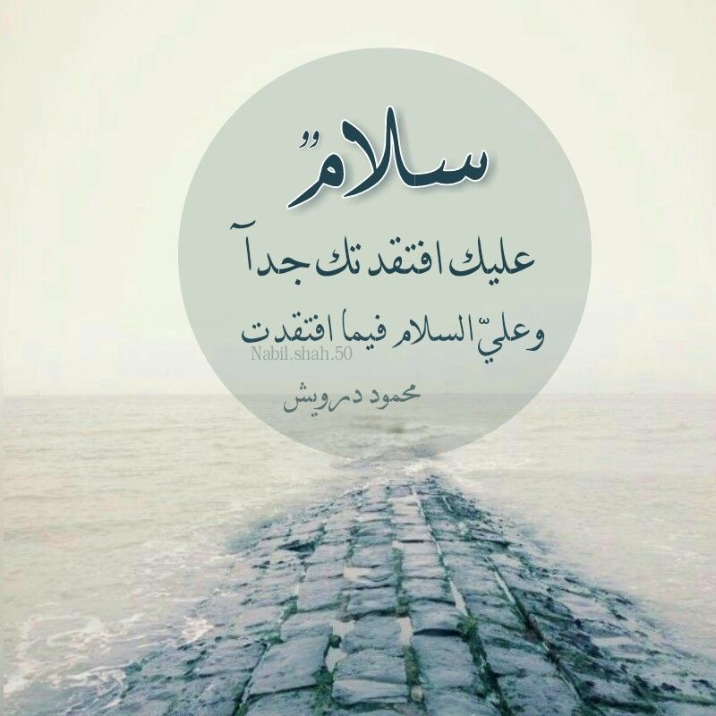 خواطر عن السلام