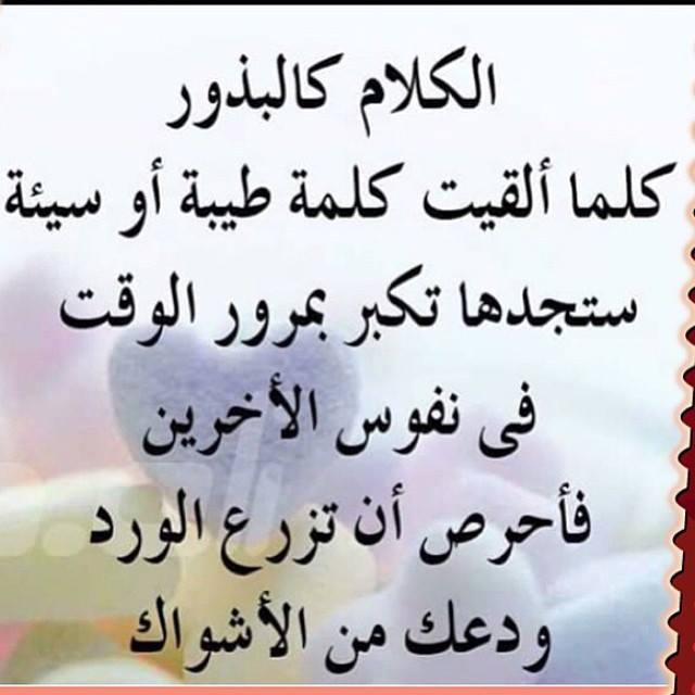 اذا قالك  شخص انت لست من مستواي واش الرد 