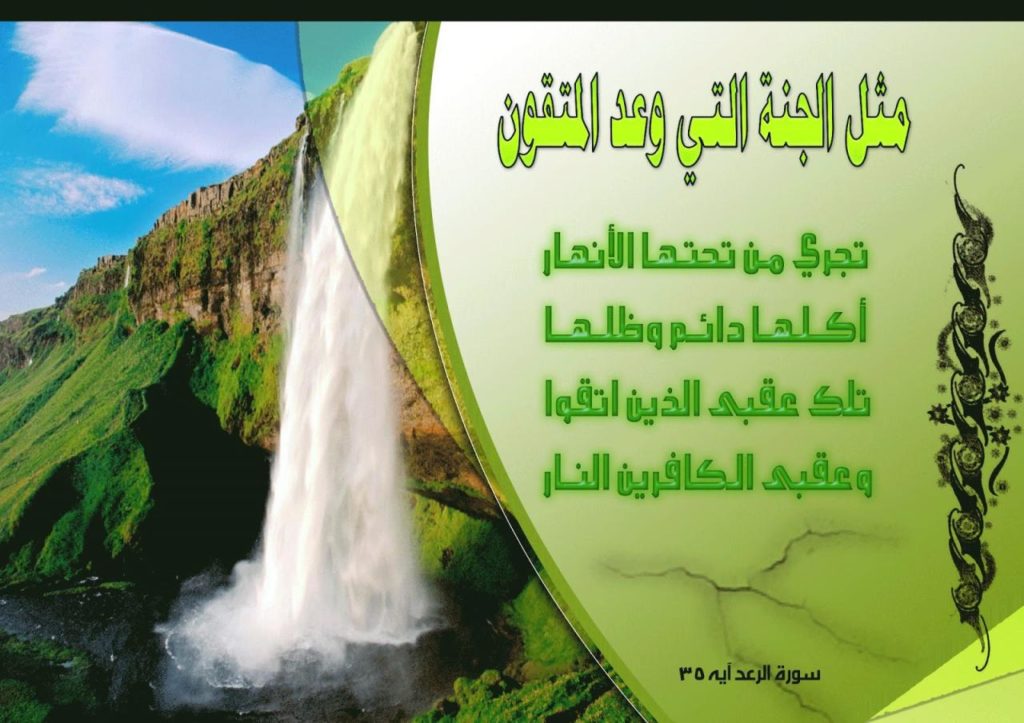 خواطر عن الجنة تويتر
