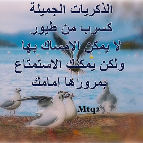 خواطر عن الذكريات الجميلة