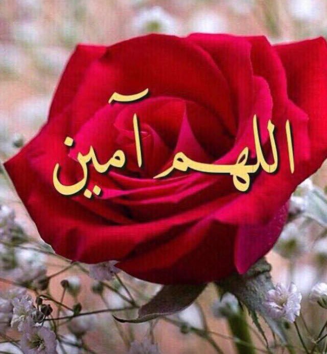 رسائل رد على دعاء جميل