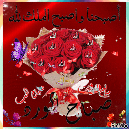 صباح الورد gif3