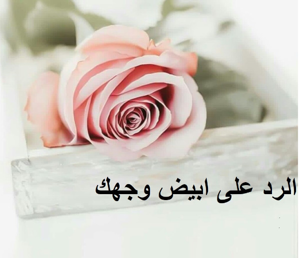 وش ارد ع بيض الله وجهك