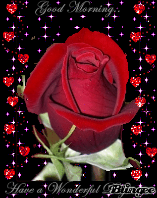 صباح الورد gif4