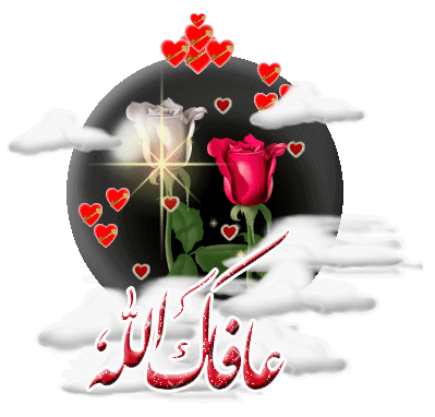 رد على بالشفاء يالغالي