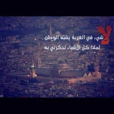 خواطر عن قسوة الغربة