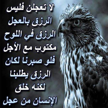 خواطر عن الرزق بالصور ٢