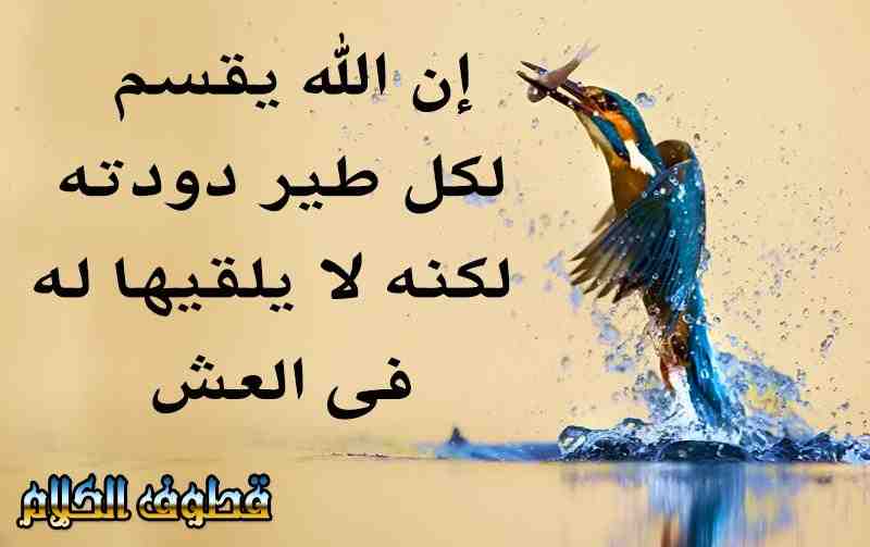 خواطر عن الرزق بالصور ١