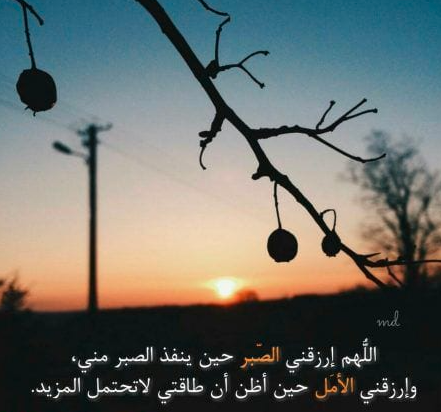 خلفيات واتساب 2020  2