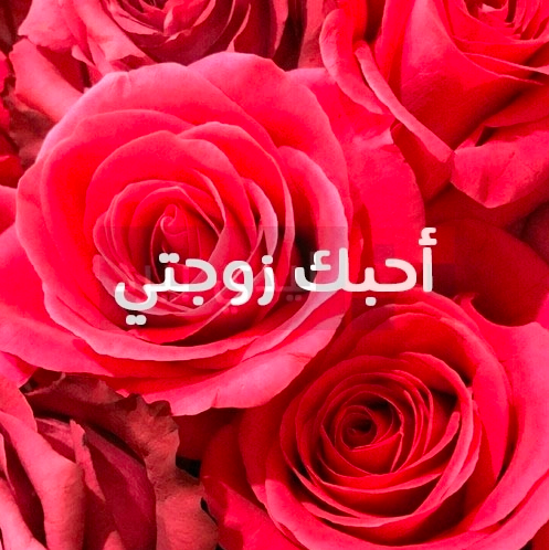 رسائل حب للزوجة مصورة 2