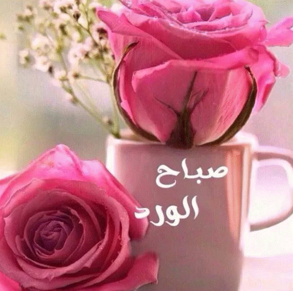 صباح الورد