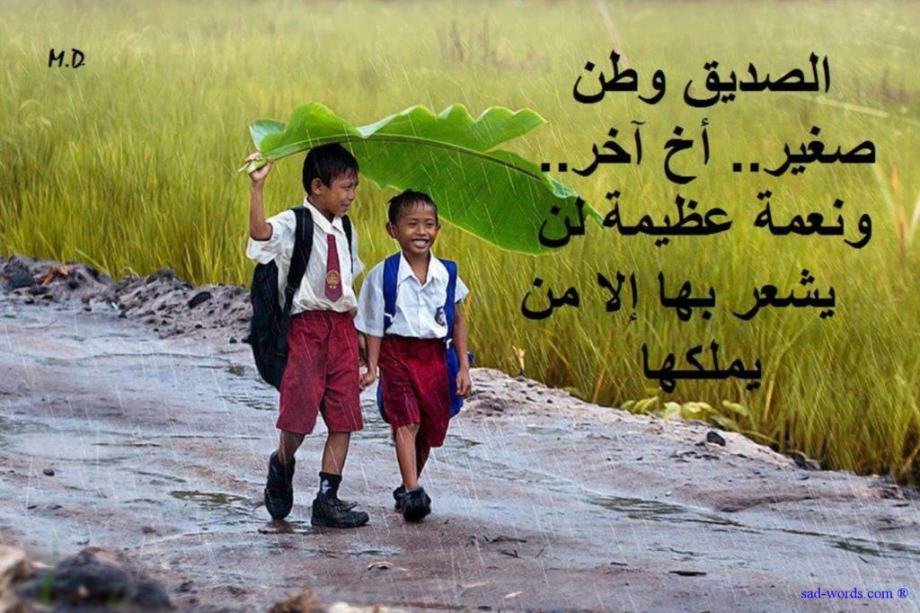 خواطر عن السند الصديق بالصور ١