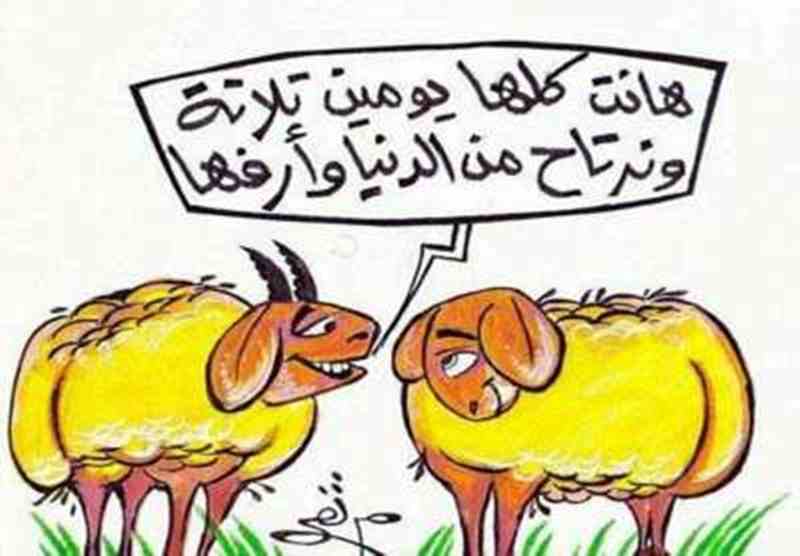 حالات واتس مضحكه 2