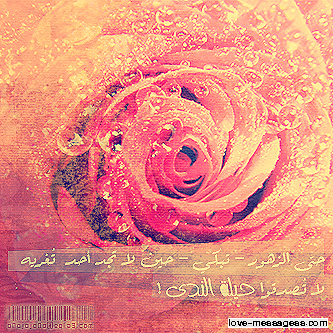 توبيكات واتس اب مزخرفة 3