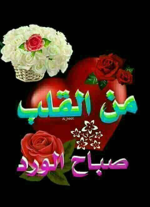 عبارات الرد على صباح الورد