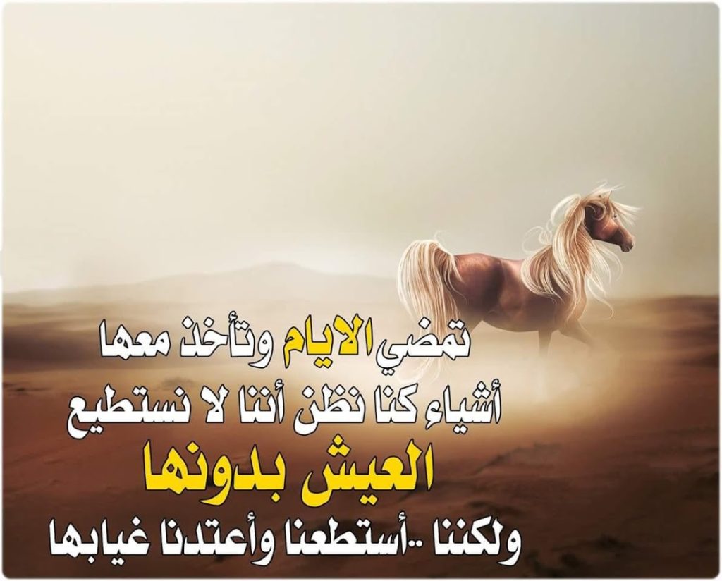 خواطر عن الثقة بالنفس والكبرياء