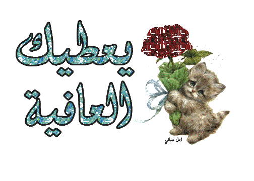 رد على بالعافيه 