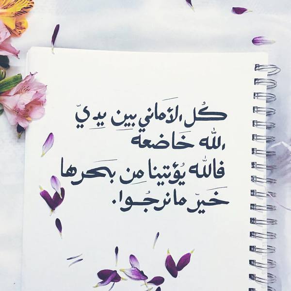 اذا احد قال ان شاء الله خير وش ارد