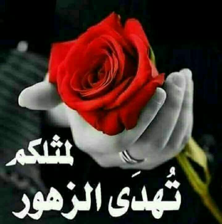 خواطر عن الزهور بالصور ١