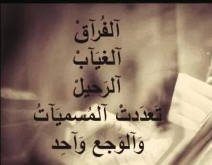 خواطر عن الفراق الحبيب
