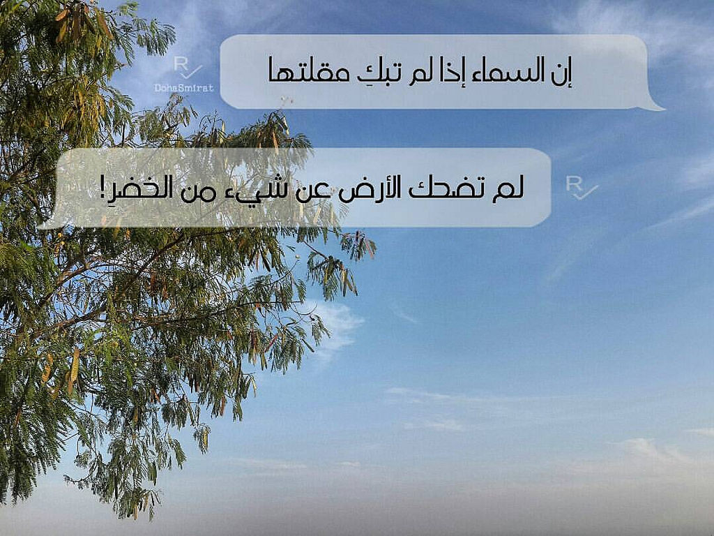 خواطر و اقتباسات عن السماء