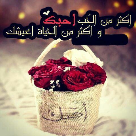 حالات واتس اب جديدة وحلوة 3