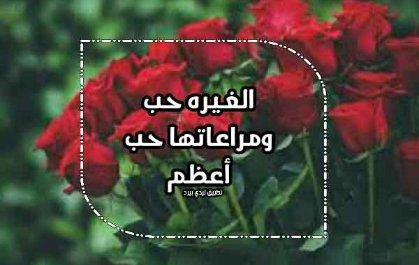 خواطر عن الغيرة بالصور ٧