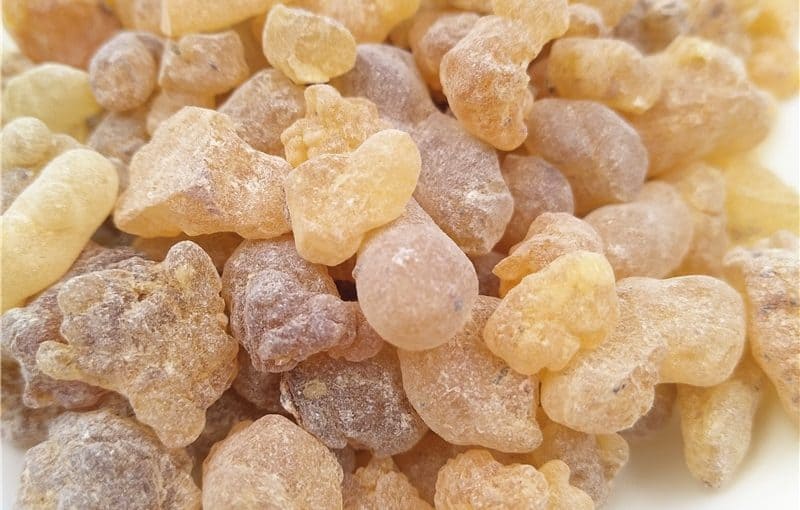 فوائد لبان الذكر