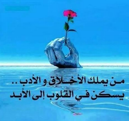 خواطر عن الذوق