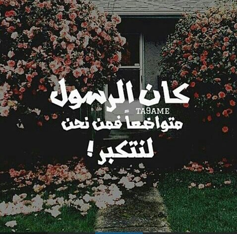 حالات الواتس اب حكم وامثال دينيه3