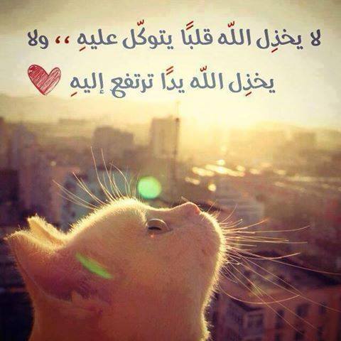 حالات واتس اب دينية 4