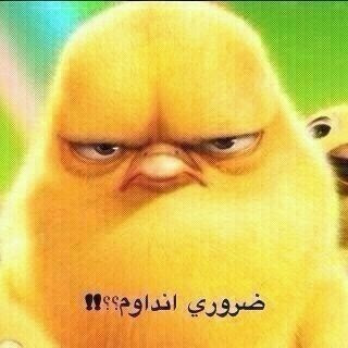 حالات واتس مضحكه 3