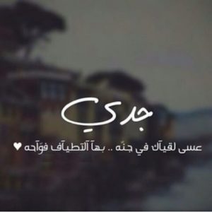 خواطر عن الجد