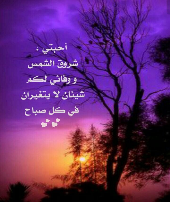 خواطر عن شروق الشمس