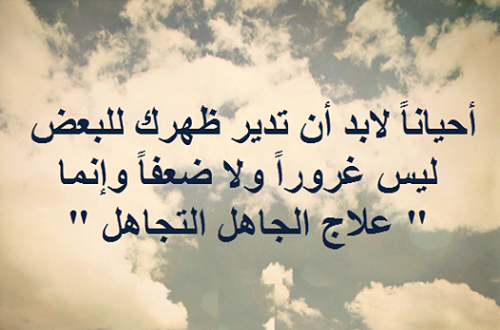 رد على جاهل - عبارات رد عن الجاهل