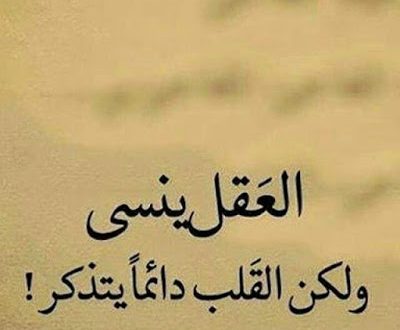 خواطر عن العقل والقلب بالصور  ٢