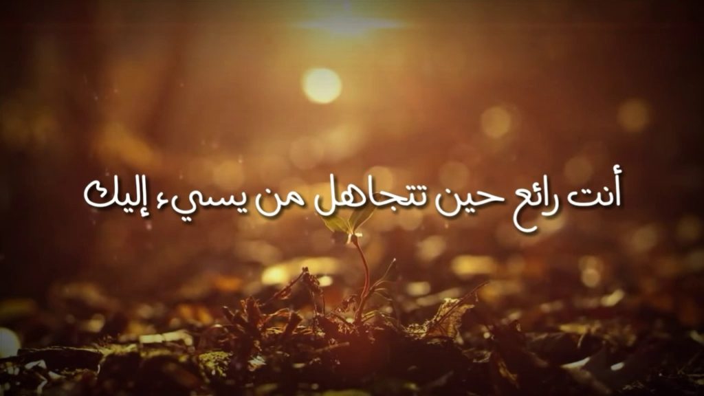 خواطر عن التجاهل تويتر