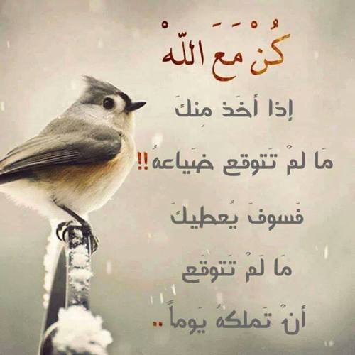 كلام في حب الله بالصور 4