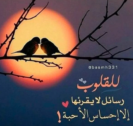 اجمل خلفيات واتس اب 4