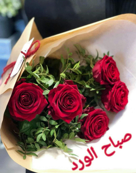 1صباح الورد حبيبي
