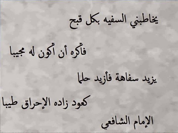 الرد على السفيه بيت شعر