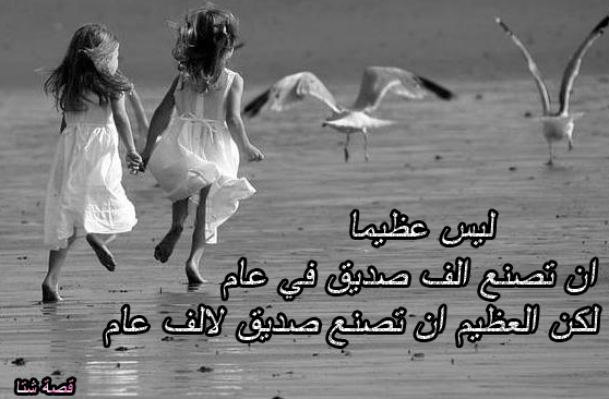 خواطر عن السند الصديق بالصور ٢