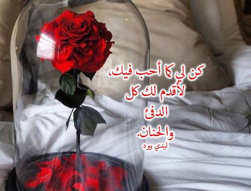 توبيكات عن الورد 6