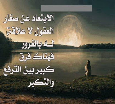 عبارات رد على شخص تافه