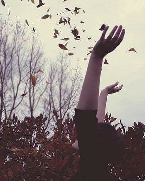 خلفيات واتس اب جديدة2