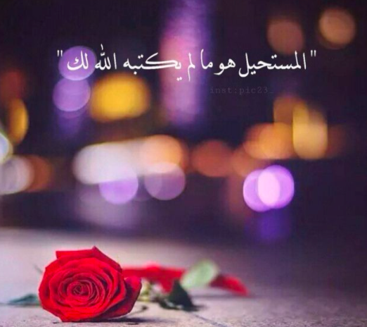 خلفيات واتس اب 2021 5