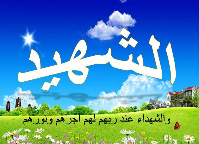 خواطر عن الشهيد