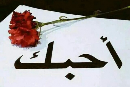 ماذا أرد اذا احد قال لي الحبيب كلام غزل