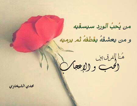 توبيكات عن الورد 1